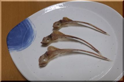 あと1つ、外れてしまった！残念...