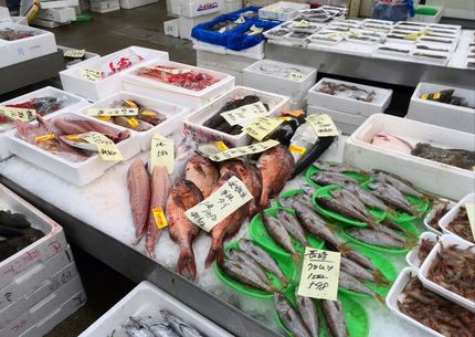 オリーブ鰤（香川のブランド鰤）...