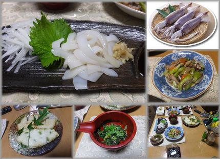 ＊スルメいかのお造り ＊スルメ...