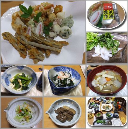 ＊高知土産の天ぷら ＊アオリイ...