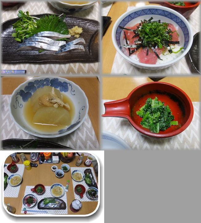 ＊鯖のきずし インフルエンザで...