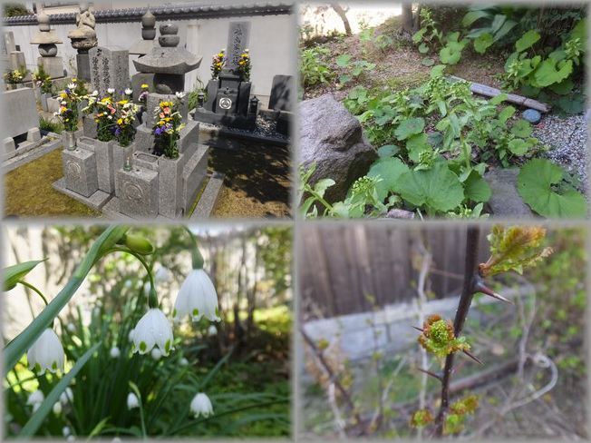 2016/3/20　Sun. ...