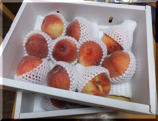 桃が届きました　(*^^)v