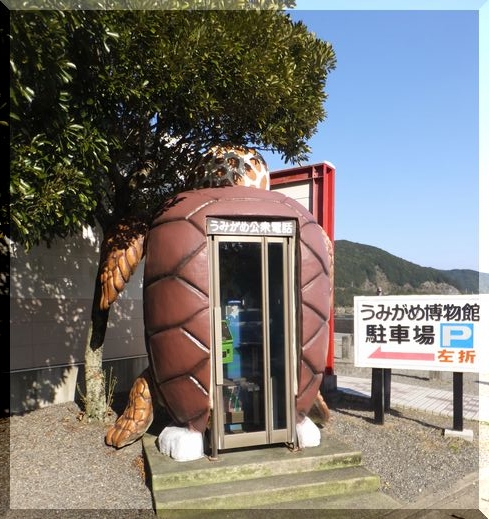 アカウミガメの電話ボックス！ ...
