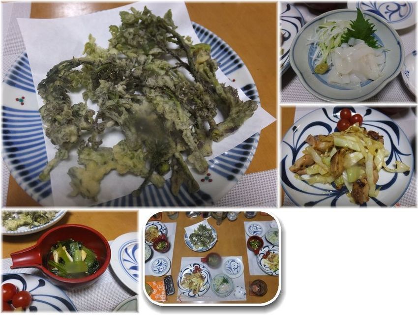 *タラの芽の天ぷら やはり「今...