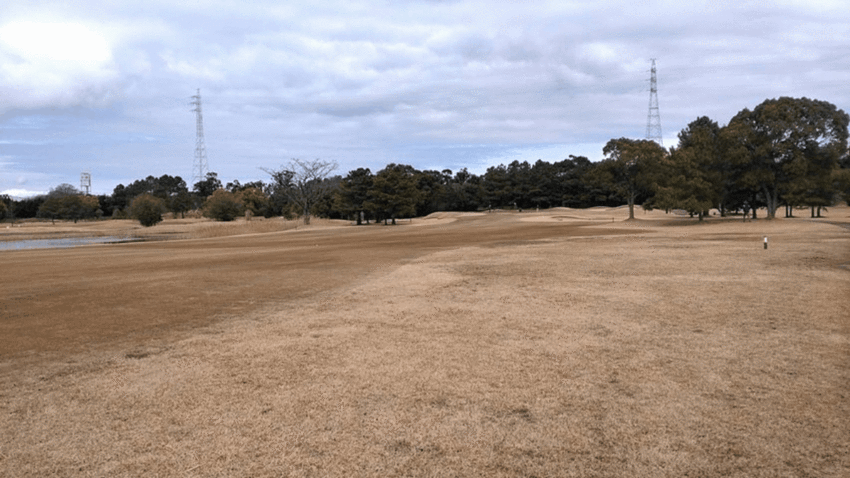 枯野原?というようなホールもあ...
