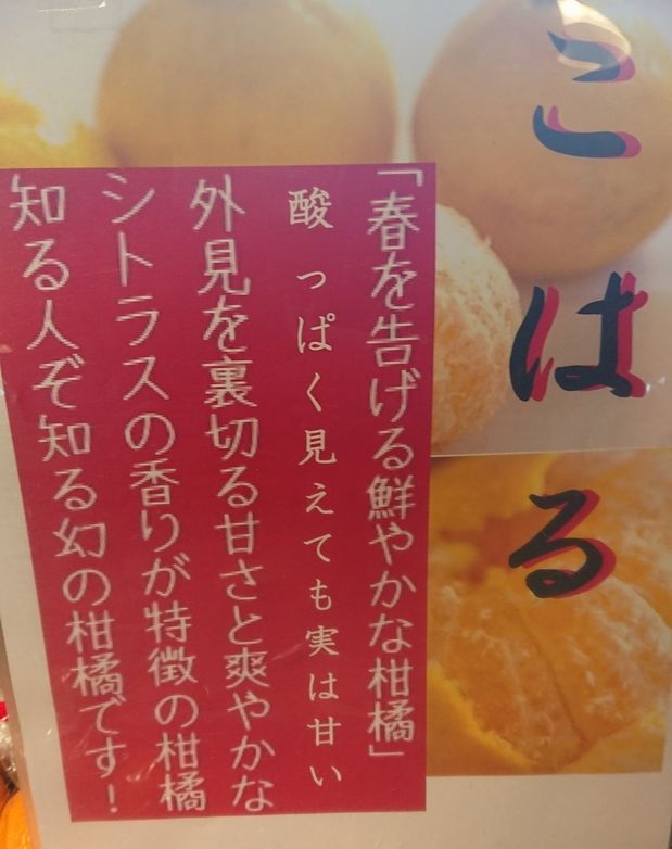 今回もキャッチコピーに釣られた...