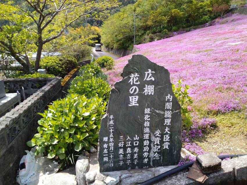 デ・レイケ公園のチューリップを...