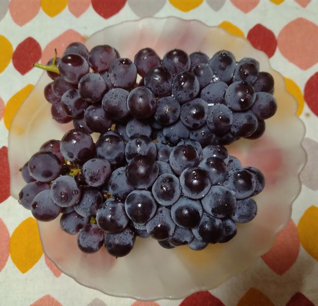 🍇デラウェア まだまだ小粒だけ...