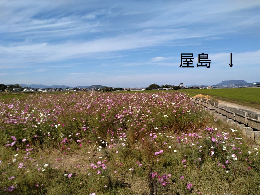 屋島も見えました　(^_-)-...