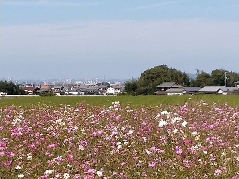 瀬戸内海、高松港方面　(^_-...