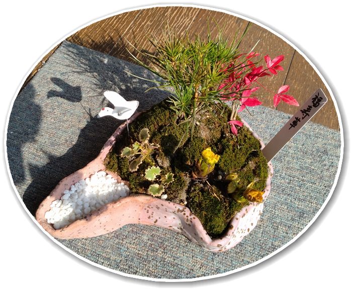 お正月の寄せ植え、お玄関では寒...