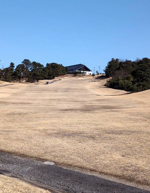 西9番ロング　ボギー
