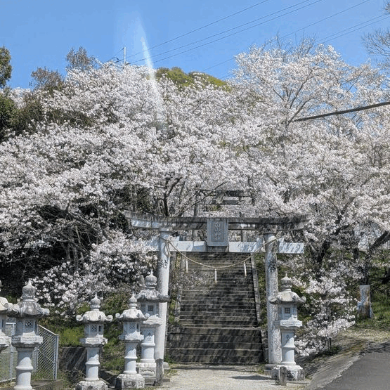 🌸4/7　Mon. 白山神社 ...