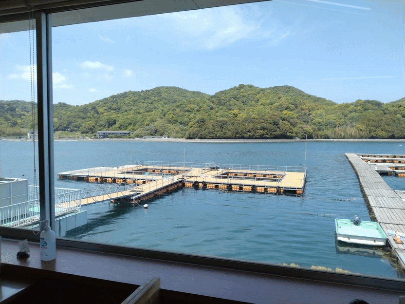 阿戸池ってご存じでしょうか？ ...