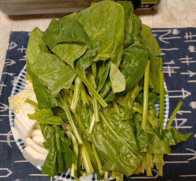 ほうれん草、白菜はいらんかった...