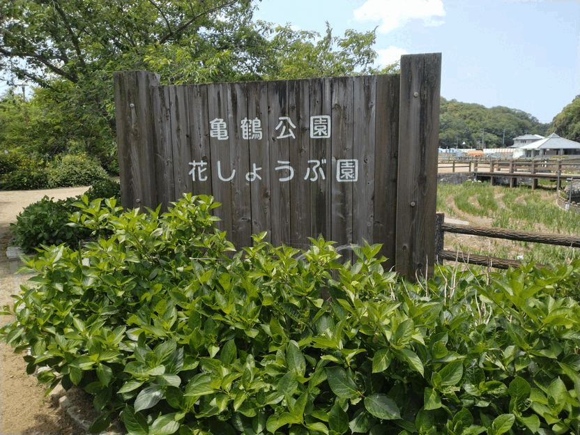 お使いとランチがてら出かけると...