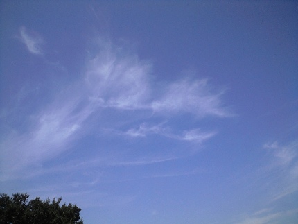 秋の空