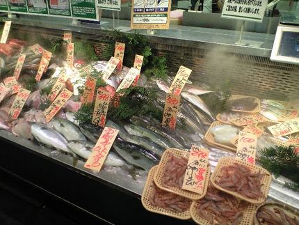 スーパーのお魚屋さん「お魚キッ...