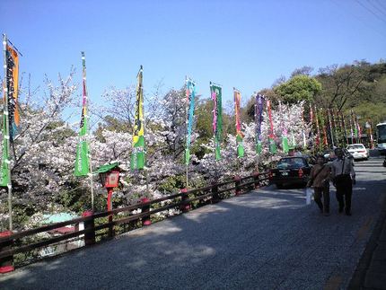 金毘羅さんにつきました