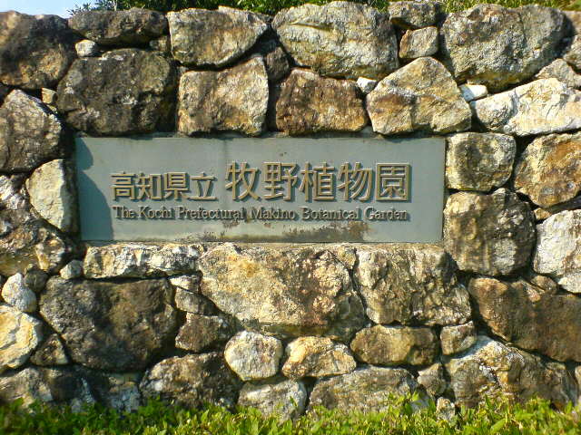 高知牧野植物園