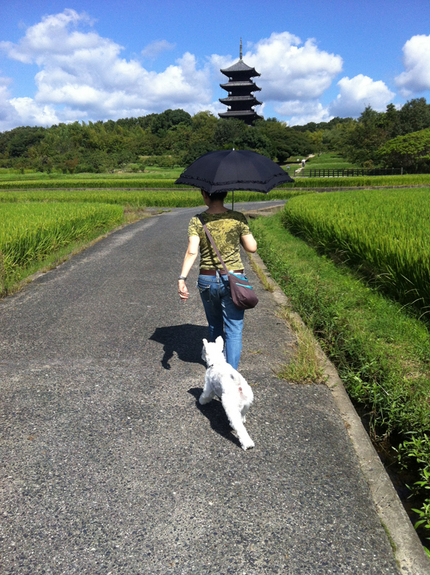 今日の寄り道