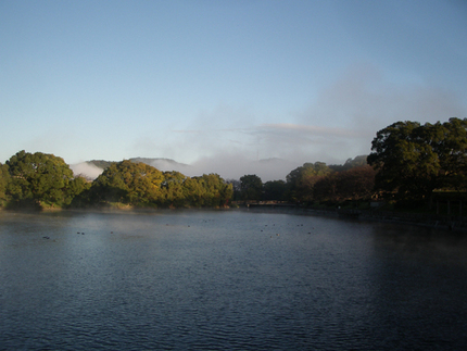 これは今朝の7時ごろの公園の池...
