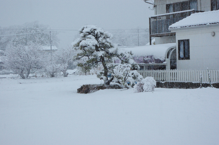 何年ぶりの大雪でしょうか、10...