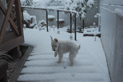 神は生まれて初めて雪の感触を体...