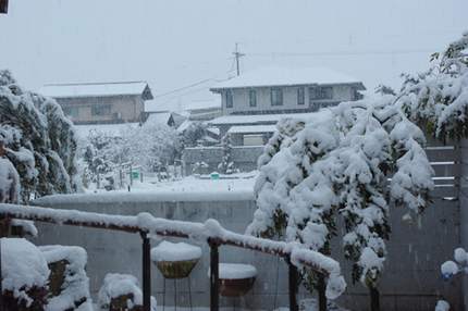 White　Day