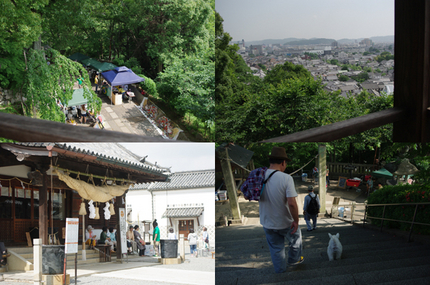 木陰に入って見る景色は、とても...