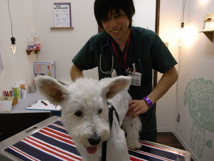 今日は１年に1回、恒例の健康診...