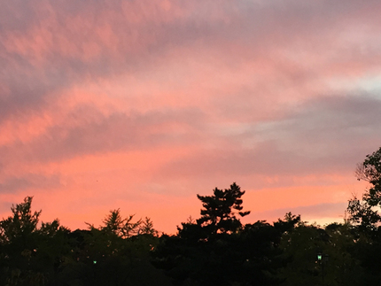今日の倉敷の夕方の空はとっても...