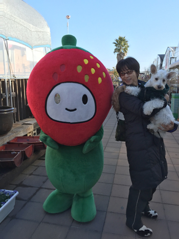 先週から遊びに来ていた、友人の...