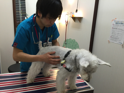春の健康診断