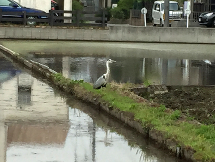 ここのところ、家の周りは住宅ラ...