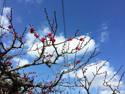 青空