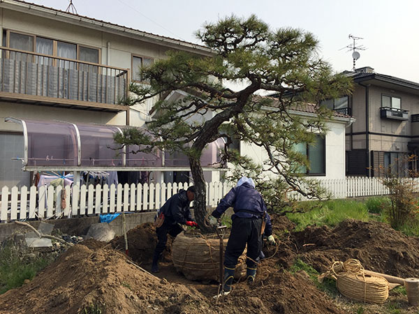 自宅の庭を壊してアトリエを建て...