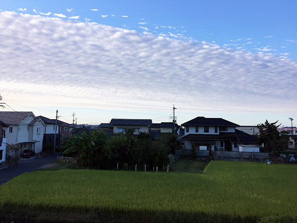 青空いっぱい