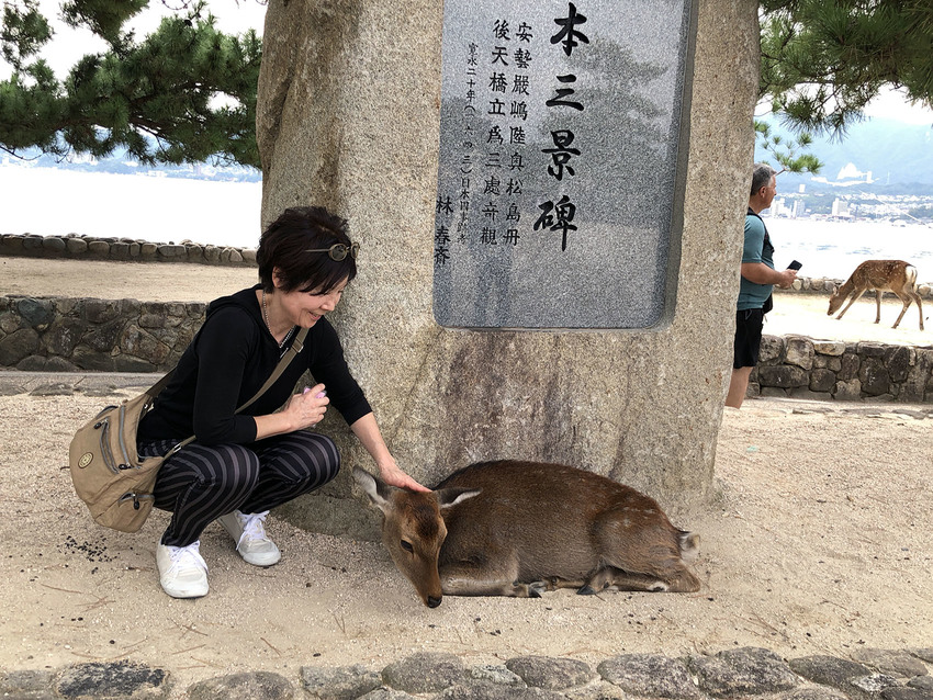 出迎えてくれたのは鹿たちでした...