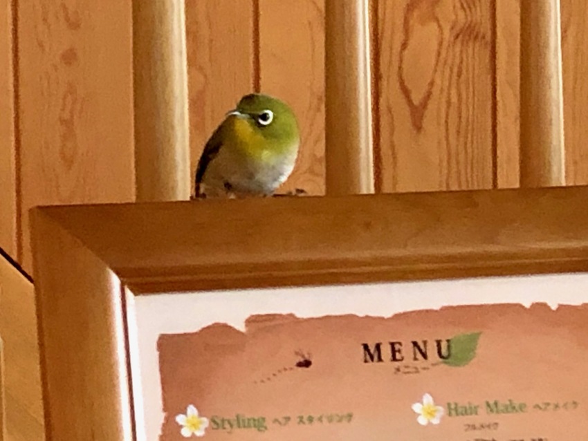 丁度いい感じにMENUのスタン...