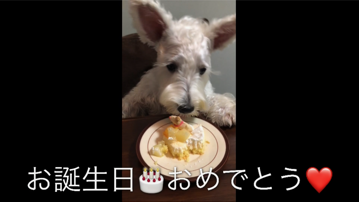 素敵な1歳の成長