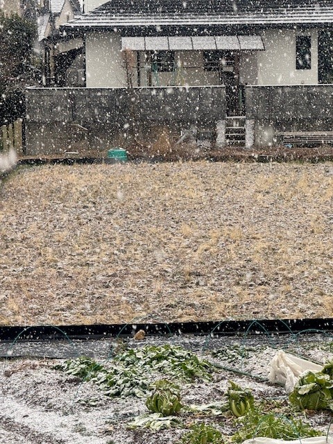 倉敷の雪