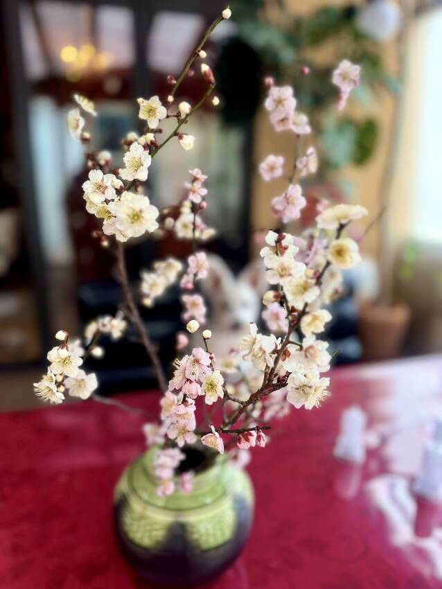 可愛い梅の枝をいただきました🌸