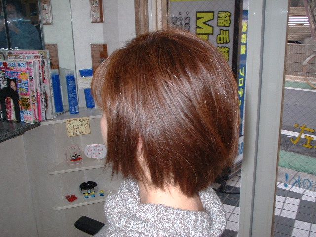 ４０cmカット
