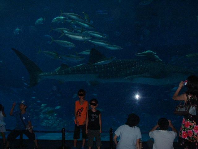 美ら海水族館　