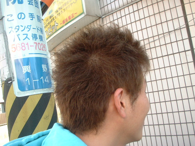 本日のお客様