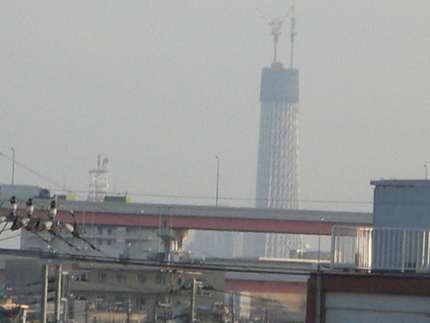 　見　え　ま　す　。