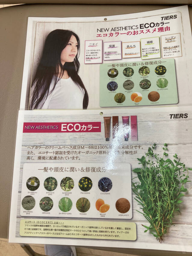 当店のカラー　　オーガニックカ...