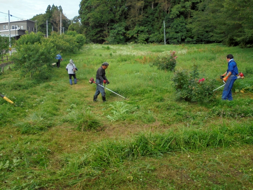 市立公園の草刈り作業